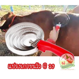 แปรงขนวัว  หวีเกาวัว  แปรงเกาขนวัว แพะ แกะ ม้า 6 วง ทำจาก สแตนเลส