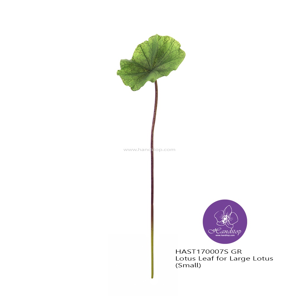 Handitop ใบบัวปลอมขนาดเล็กสำหรับจัดกับดอกบัวหลวงขนาดใหญ่ใกล้เคียงดอกบัวจริงของแฮนดิท็อพ