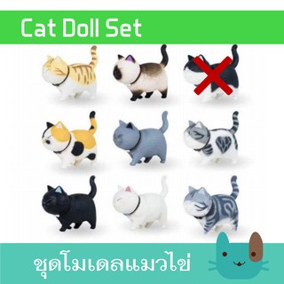 Petaholic โมเดลแมว ฟิกเกอร์แมวไข่ ชุด 8 ตัว โมเดลแมวไข่ Cat Toy Set