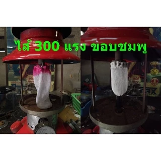 ไส้ตะเกียง 300แรง ขอบชมพู เนื้อโคแมน