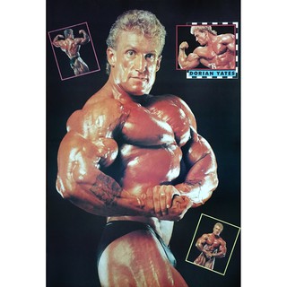 โปสเตอร์ รูปถ่าย เพาะกาย เพาะกล้าม เล่นกล้าม Body Builder Dorian Yates POSTER 20x30” Inch Muscle Weight Training