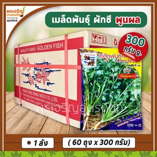 เมล็ดพันธุ์ผักชี ผักชีพูนผล 300 กรัม (ยกลัง 60 ถุง) เมล็ดผักชีปลาทอง เมล็ดพันธุ์ยกลัง เมล็ดพันธุ์ผักสวนครัว ตราปลาทอง