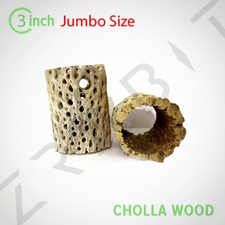 Cholla Wood Jumbo size 3 นิ้ว ขนาดใหญ่พิเศษ ขอนไม้ บ้านกุ้ง กุ้งแคระ กุ้งเรดบี กุ้งสุราเวสี