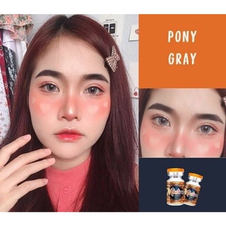 Montralens⚡Eve Gray💥มนตราเลนส์💥บิ๊กอายตาโต💥คอนแทคเลนส์ค่าอมน้ำสูง ลาย PONY