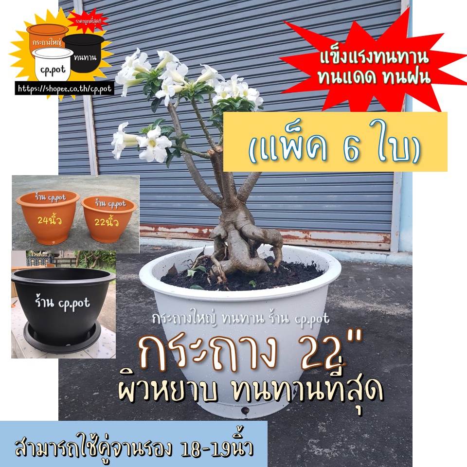 กระถาง 22นิ้ว (6ใบ) #หนาสุดๆ #ส่งไม่เคยแตก #ผิวหยาบเนื้อทราย #เจาะรูระบายน้ำดี #ของแท้แบรนด์MeritPlast #cp.pot