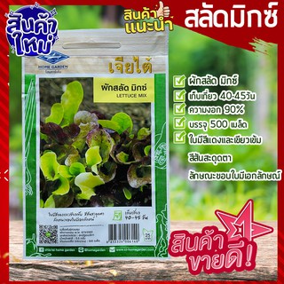 เจียไต๋ 🥦เมล็ดพันธุ์ ผักสลัด มิกซ์ 500 เมล็ด Lettuce Mix  ผักสลัด เมล็ดสลัด