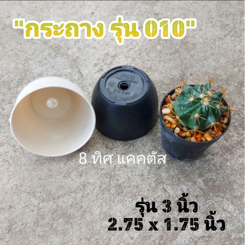 กระถาง 010 3 นิ้ว (2.75นิ้ว) // กด 50 ใบ 120 บาท -- แคคตัส พลาสติก กระบองเพชร