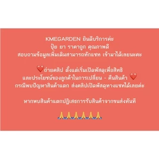 (Live) 🍀สารจับใบ🍀 สตาร์แท็ค ขนาด 1 ลิตร สูตรเข้มข้น สารเคลือบใบ ยาจับใบ สารเสริมประสิทธิภาพ