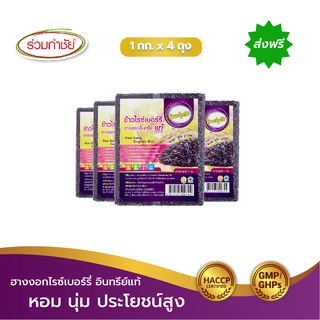 [ส่งฟรี] ร่วมกำชัย ข้าวไรซ์เบอร์รี่ ฮางงอก อินทรีย์แท้ ทิพย์อุทัย ขนาด 1 กก. แพ็ค 4