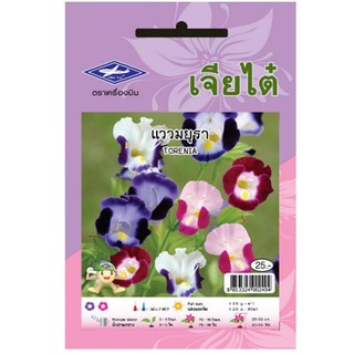 เมล็ดพันธุ์ดอกแววมยุรา SEED TORENIA MAYURA