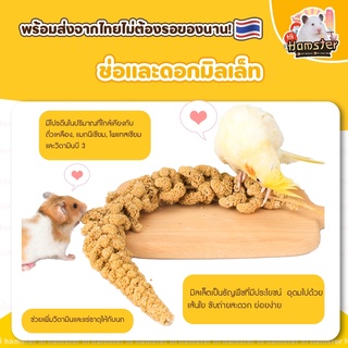 [HiHamster]มิลเล็ทช่อและดอก ขนาด20กรัม 50กรัม 100กรัม