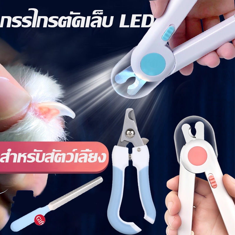 กรรไกรตัดเล็บแมว Pet Nail Clippers พร้อมไฟ LED พร้อมตะไบเหล็กเก็บซ่อน ป้องกันเลือดออก