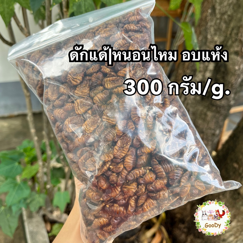 ดักแด้ หรือ หนอนไหม 300 กรัม/g. Dried Silkworm Pupae