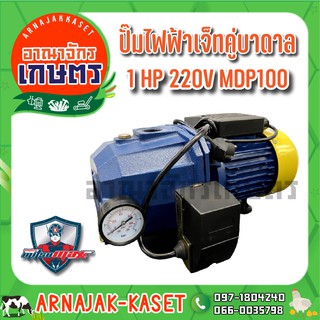 ปั๊มเจ็ทท่อคู่ระบบออโต้ 1 แรงม้า 750W ดูดลึก 30 เมตร  ปั๊มน้ำ MITSUMAX รุ่น MDP100