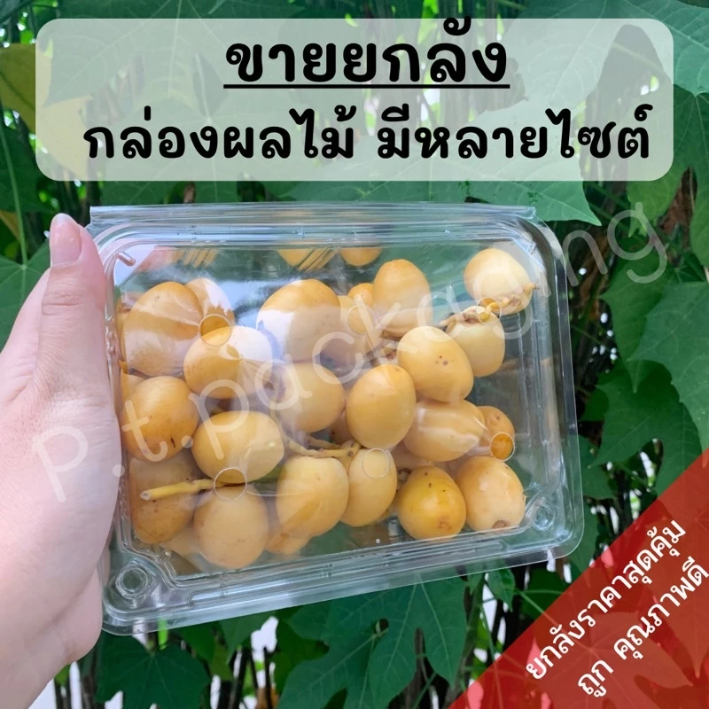 ((ยกลัง))กล่องใสใส่ผลไม้ มีหลายไซต์ ราคายกลัง ถูกกว่าปกติ