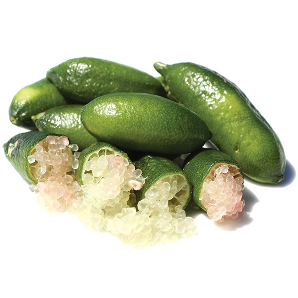 ต้นมะนาวนิ้วมือ มะนาวคาเวียร์ Finger lime พันธุ์ MOON DROPS ลำต้นสูง 30 ซม