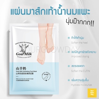 มาส์กเท้าน้ำนมแพะ 3D 🐑🥛(Goat Milk Foot Mask) ถุงเท้าบำรุงผิวเท้า สูตรผลัดเซลล์ผิวบำรุงผิวเท้านุ่มชุ่มชื้น | YOURGLOWDAY
