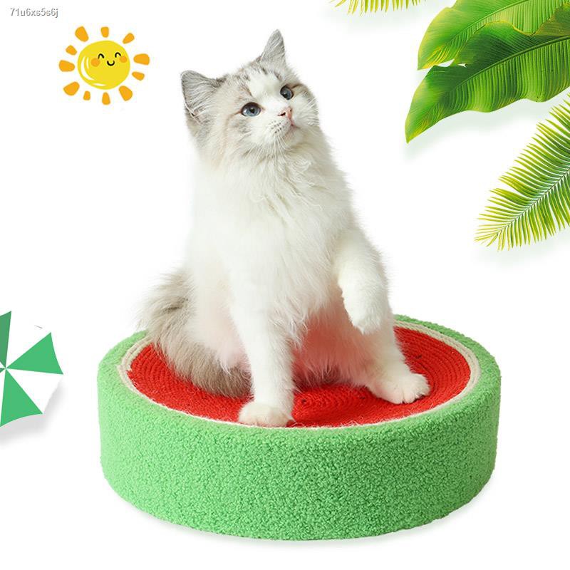 Cat claw version۞♀กระดานที่ลับเล็บแมวของช่างฝีมือไม่เสียเศษป่าน