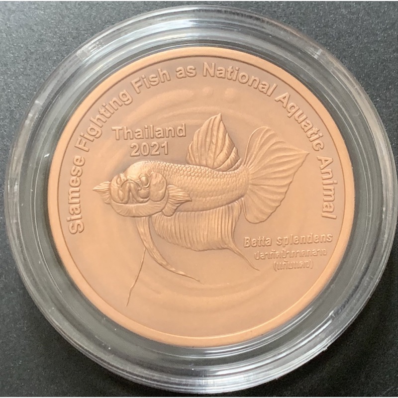[Deknoi3] เหรียญทองแดงรมดำ ปลากัดไทย (แก้มแดง)