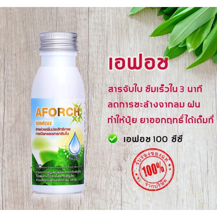 Aforch เอฟอช สารจับใบชนิดพิเศษคุณภาพสูงใช้ได้กับทุกพืช.พืชสวนพืชไร่นาข้าว 100ml
