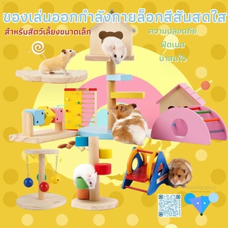 [hamster travel] Carno หนูแฮมสเตอร์ที่มีสีสันสายรุ้งของเล่นไม้บันไดหนูแฮมสเตอร์ของเล่นกระรอกเม่น