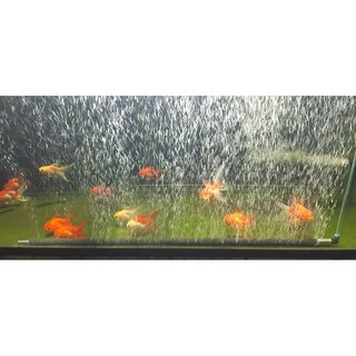 ออกซิเจนบาร์ตู้ปลา 30-100 เซน สวยงามติดตั้งง่าย [จัดส่งทุกวัน] OXYGEN BAR FOR FISH TANK 30-100 CM