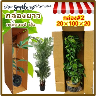 พร้อมส่ง! กล่องใส่ต้นไม้ กล่องยาว กล่องไปรษณีย์ #2 แพค 10