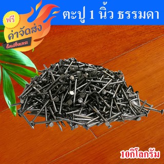 **ส่งฟรี** ตะปู ตะปูตอกไม้ ขนาด 1 นิ้ว จำนวน 10 กิโลกรัม