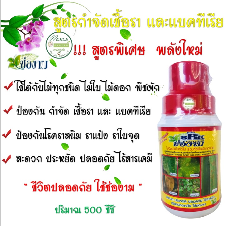 ปุ๋ยน้ำ ช่องาม 500 ซีซี สูตร กำจัด เชื้อรา แบคทีเรีย รากเน่า โคนเน่า ใบด่าง ราใบจุด ใบเหลือง ราน้ำค้าง ราสนิม แคงเกอร์