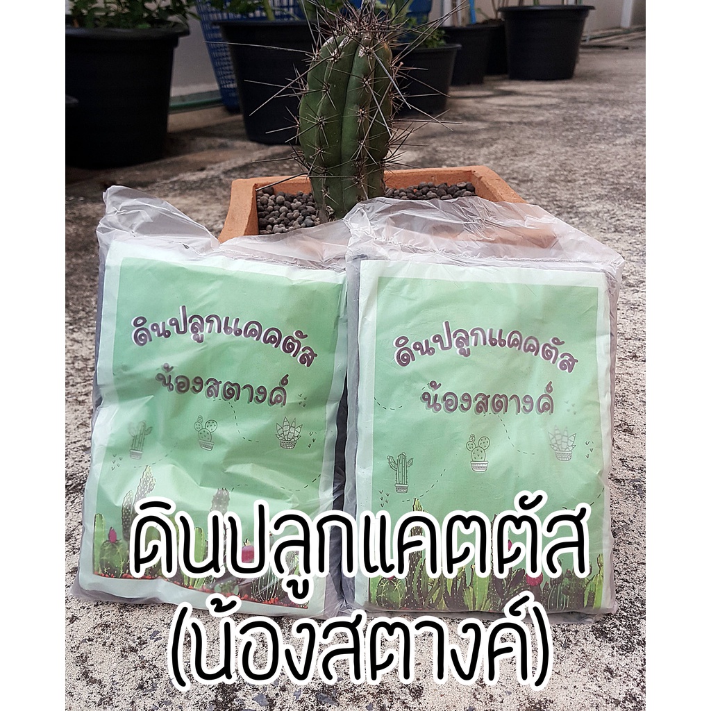 ดินปลูกแคคตัส น้องสตางค์ สารอาหารครบ💯 🌵 แพ๊ค 1 ถุง  750-800 กรัม cactus ดินปลูกกระบองเพชร
