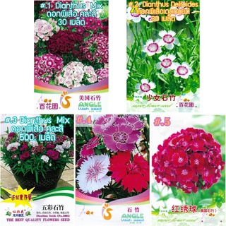 เมล็ดดอกผีเสื้อ/ดอกผีเสื้อซ้อน/ดอกผีเสื้อช่อ  30 เมล็ด/500 เมล็ด  Dianthus chinensis  เมล็ดนำเข้า