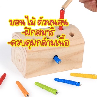 ขอนไม้ตัวหนอน🪵🐛 ของเล่นไม้ montessori