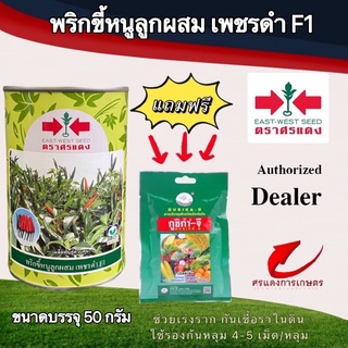 เมล็ดพันธุ์ พริกขี้หนูเพชรดำ 50g แถมกูซิก้าจีซองเล็ก