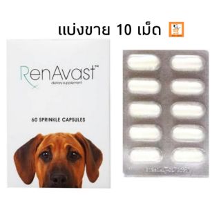 RenAvast แท้ 💯% แบ่งขาย 10 เม็ด อาหารเสริมบำรุงไต สุนัข อาหารเสริม ไต โรคไต