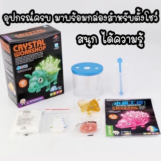 🏅Kids learning🏅DIY STEM  Crystal Workshop ชุดทำผลึกคริสตัล ของเล่นแนววิทยาศาสตร์ ของเล่นทดลอง ชุดทำการทดลอง