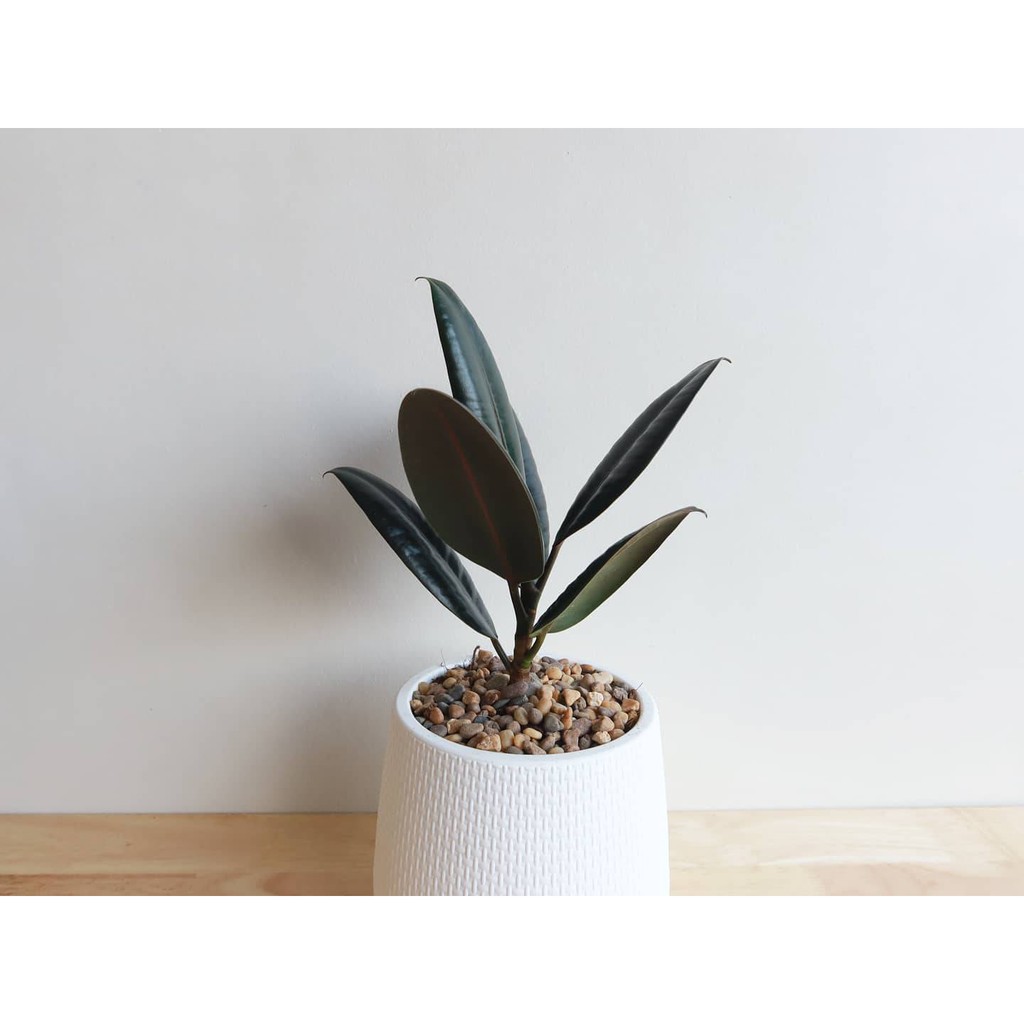 มุมมอง 2