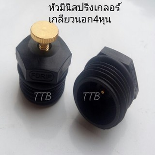 มินิสปริงเกอร์4หุน หัวละ6 บาท