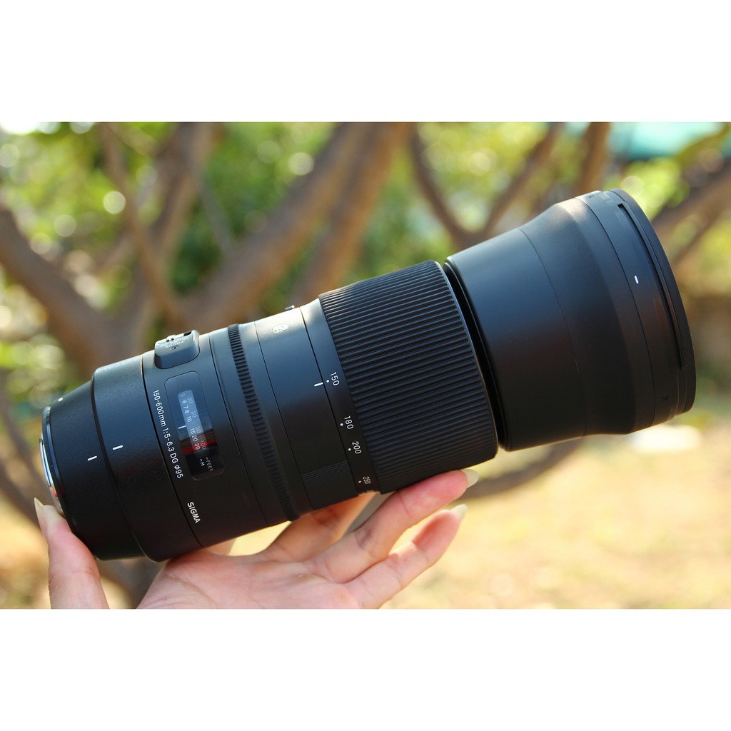Sigma Lens 150-600 mm. F5-6.3 DG OS HSM for canon 🔥🔥🔥