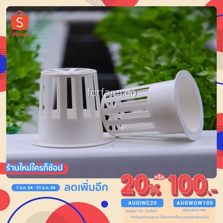 ถ้วยปลูกเมล่อนสีขาว แพ็ค 10 ใบ สำหรับเมล่อนระบบไฮโดรโปนิกส์ (Melon Hydroponics Pot)