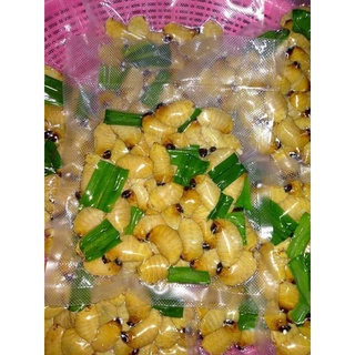 ด้วง​มะพร้าว​&amp;ด้วง​สาคู​แช่​ฟรี​ซ500g