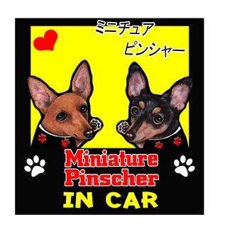 สติ๊กเกอร์ติดรถยนต์ สติกเกอร์หมา Miniature Pinscher AJ24