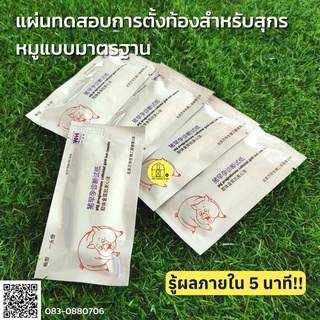 แผ่นทดสอบการตั้งท้องสำหรับแม่สุกร ตรวจตั้งครรภ์หมู แบบมาตรฐาน