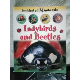 Ladybirds and Beetles (Looking at Minibeasts) by Sally Morgan-122A