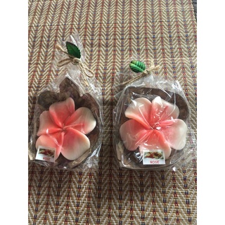 🍀เทียนหอมกะลารูปสัตว์🍀🍀