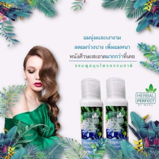 แชมพูสมุนไพร  Herbal Perfect