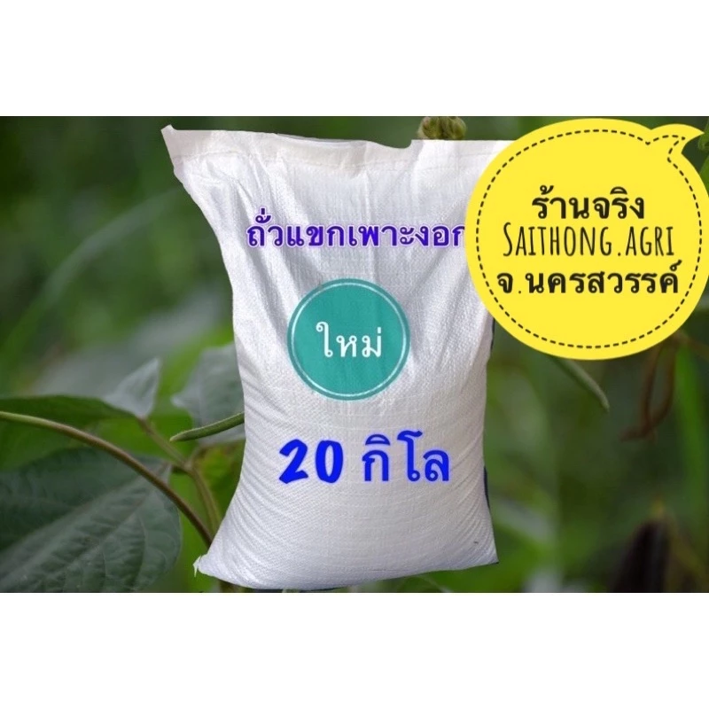 ถั่วแขกเพาะงอก ไทย/พม่า ยกกระสอบ20 กิโล