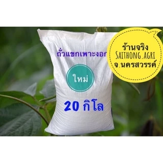ถั่วแขกเพาะงอก ไทย/พม่า ยกกระสอบ20 กิโล
