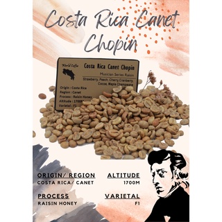 พร้อมส่ง เมล็ดกาแฟดิบ Costa Rica Canet Chopin Raisin Honey process/ เมล็ดกาแฟนอก/ เมล็ดกาแฟสารคอสตาริกา