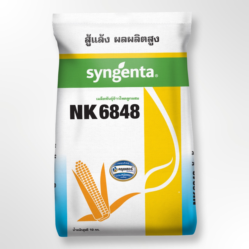 เมล็ดข้าวโพด 🌽 เอ็นเค NK6848 🌽 ตัวใหม่ล่าสุด สู้แล้ง ผลผลิตสูง ปลูกถี่ เก็บสดได้ ปลูกได้ทุกสภาพดิน (