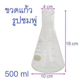 ขวดรูปชมพู่ ขวดแก้วทดลอง ขนาด 500 ml